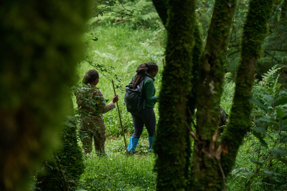 Bwindi Lodge in The Peak Singapore Online