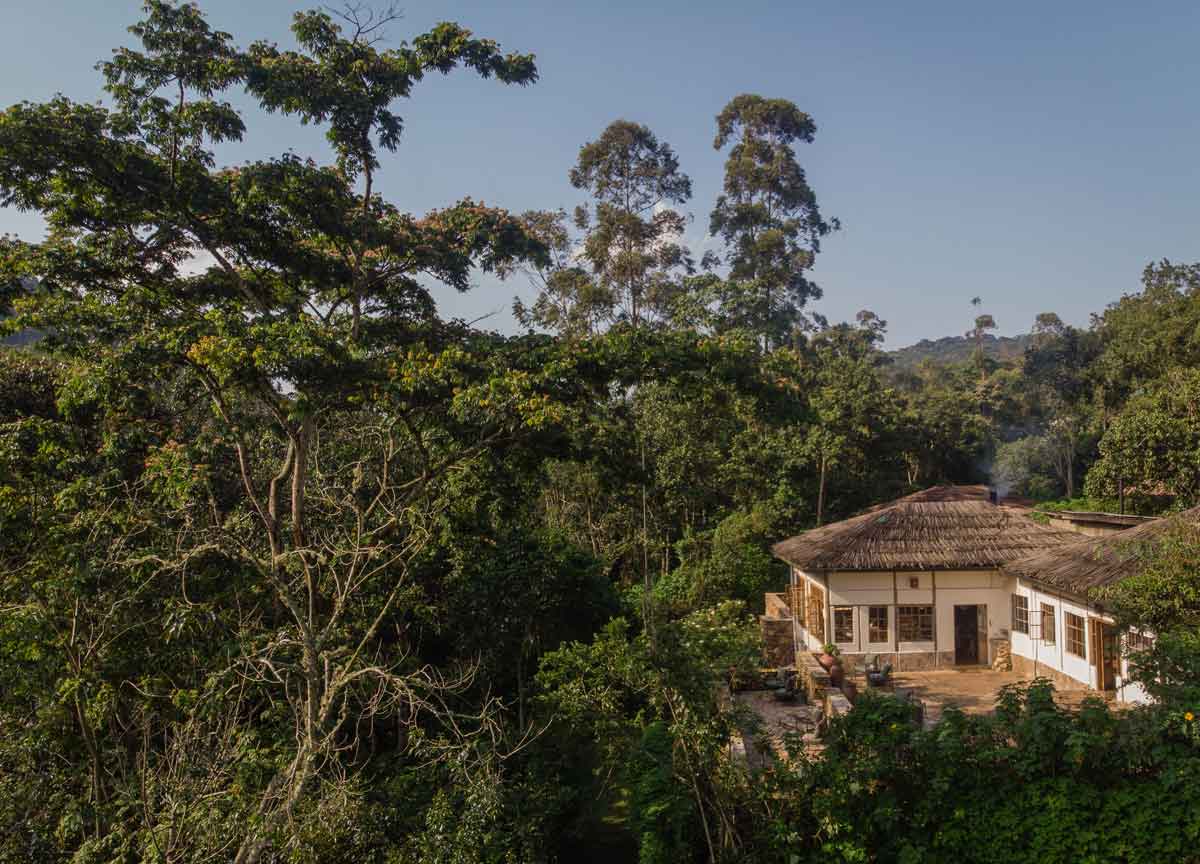 Bwindi and Kyambura Gorge Lodges are featured in Original Travel Blog as one of the luxury hotels and safari lodges in Uganda