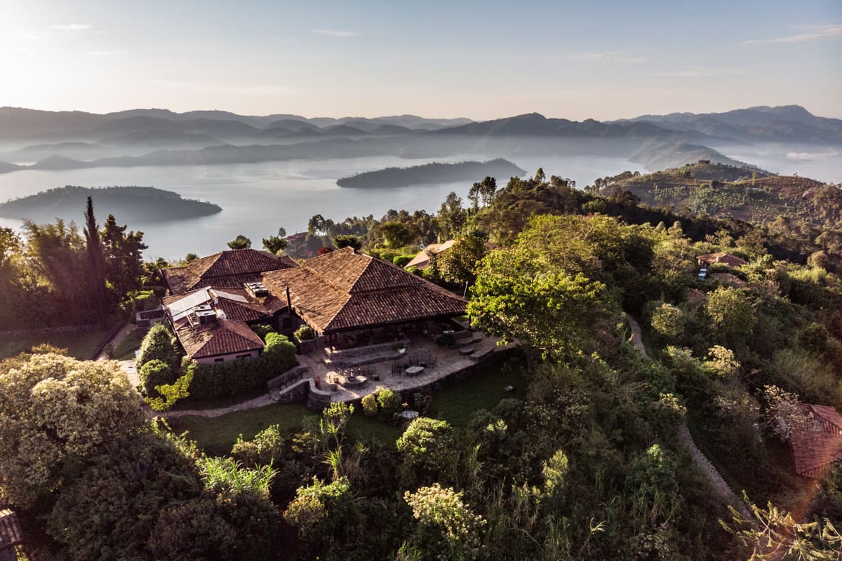 Win a 7-Night Safari to Support Gorilla Conservation!