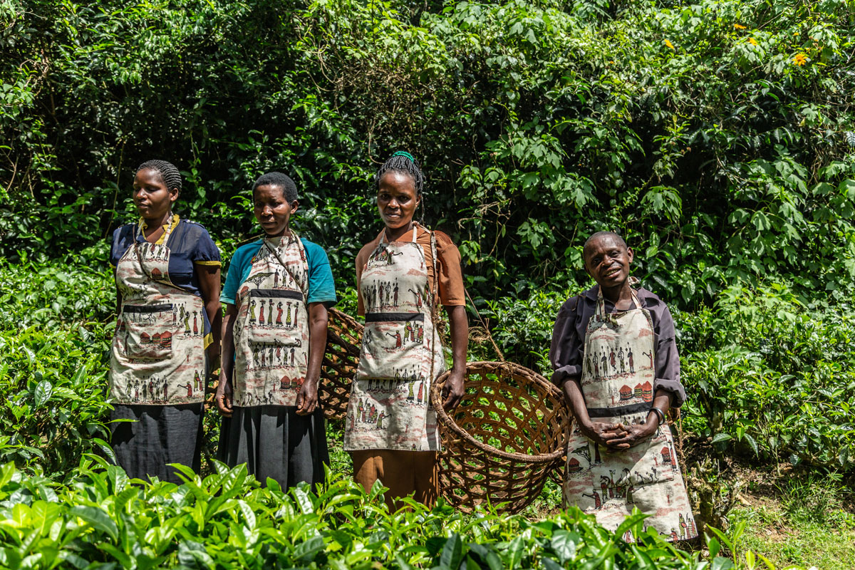 The Vision for the Bwindi Gorilla Conservation Center