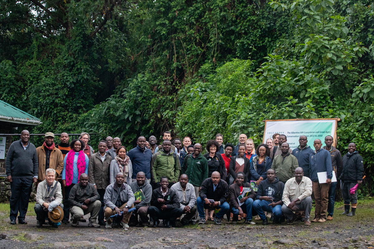 The Albertine Rift Ecosystems and Great Apes: Conservation Challenges 2022 to 2050