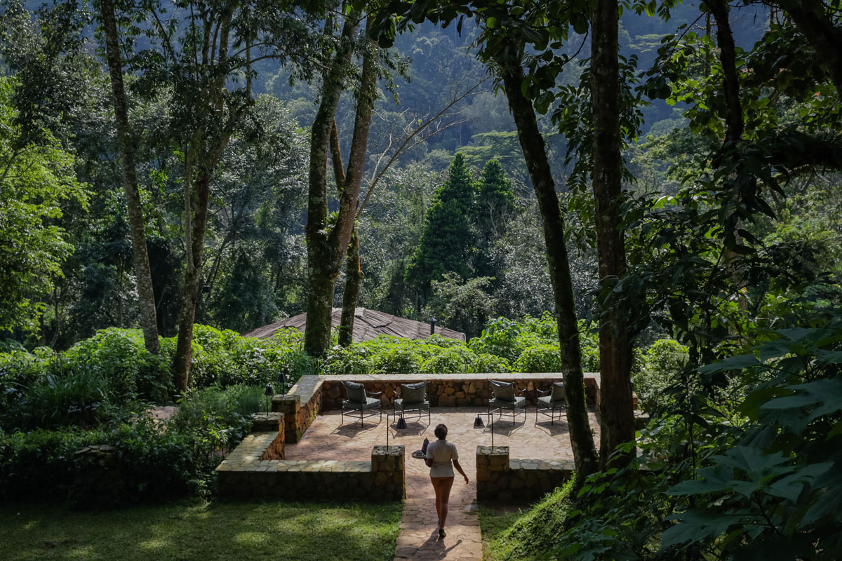 Bwindi Lodge featured in Condé Nast Traveller (UK) Online