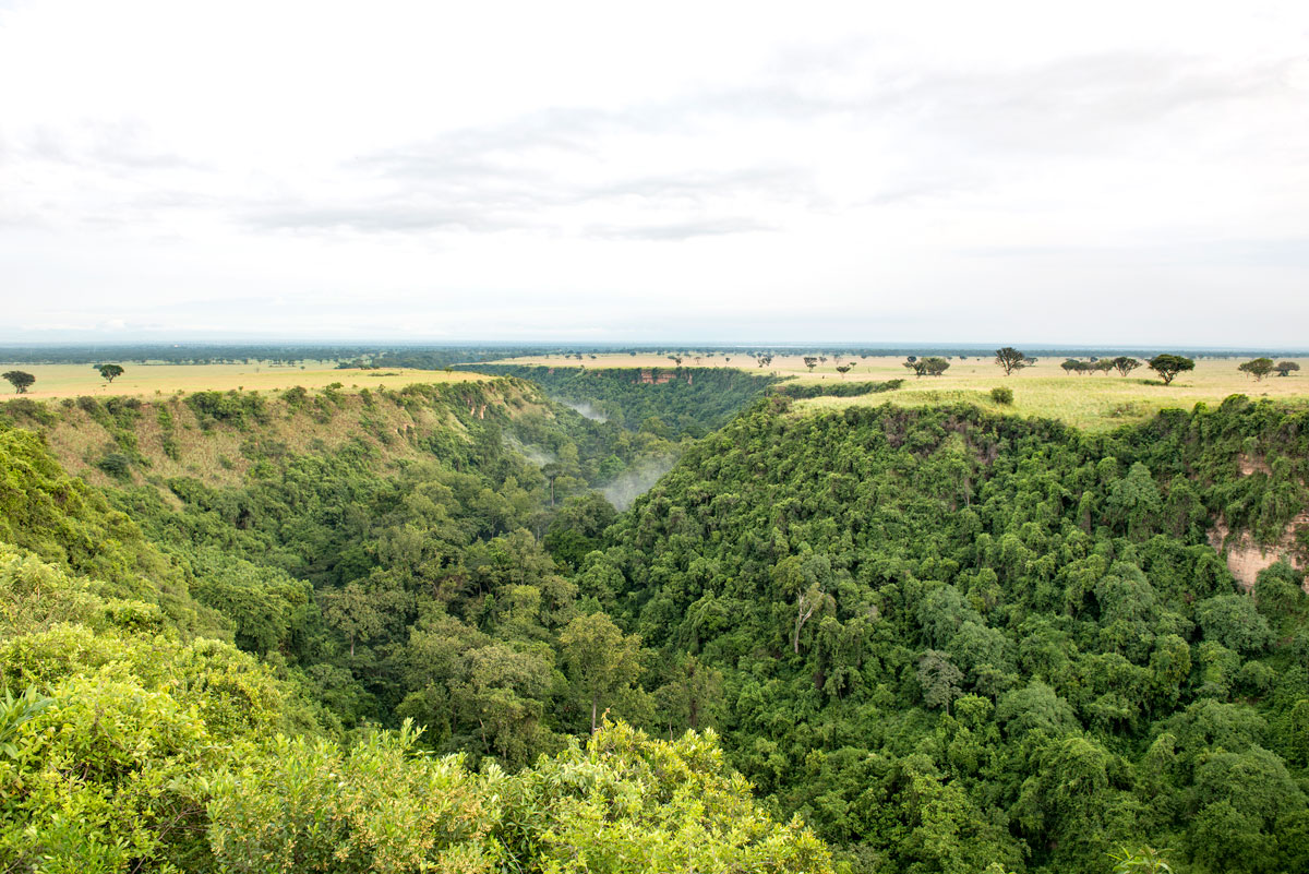 Safeguarding the Chimpanzees, Wildlife and Habitat of Kyambura Gorge