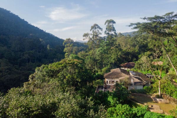 Volcanoes Safaris Featured In The Point Guy