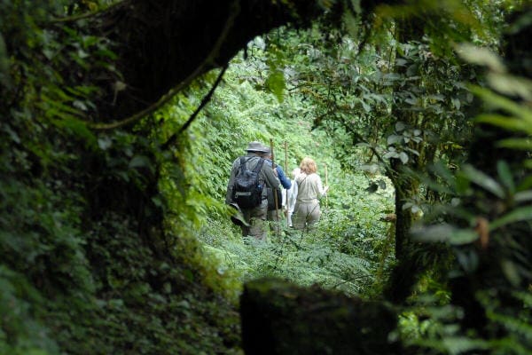Volcanoes Safaris featured in Vacation Idea Magazine