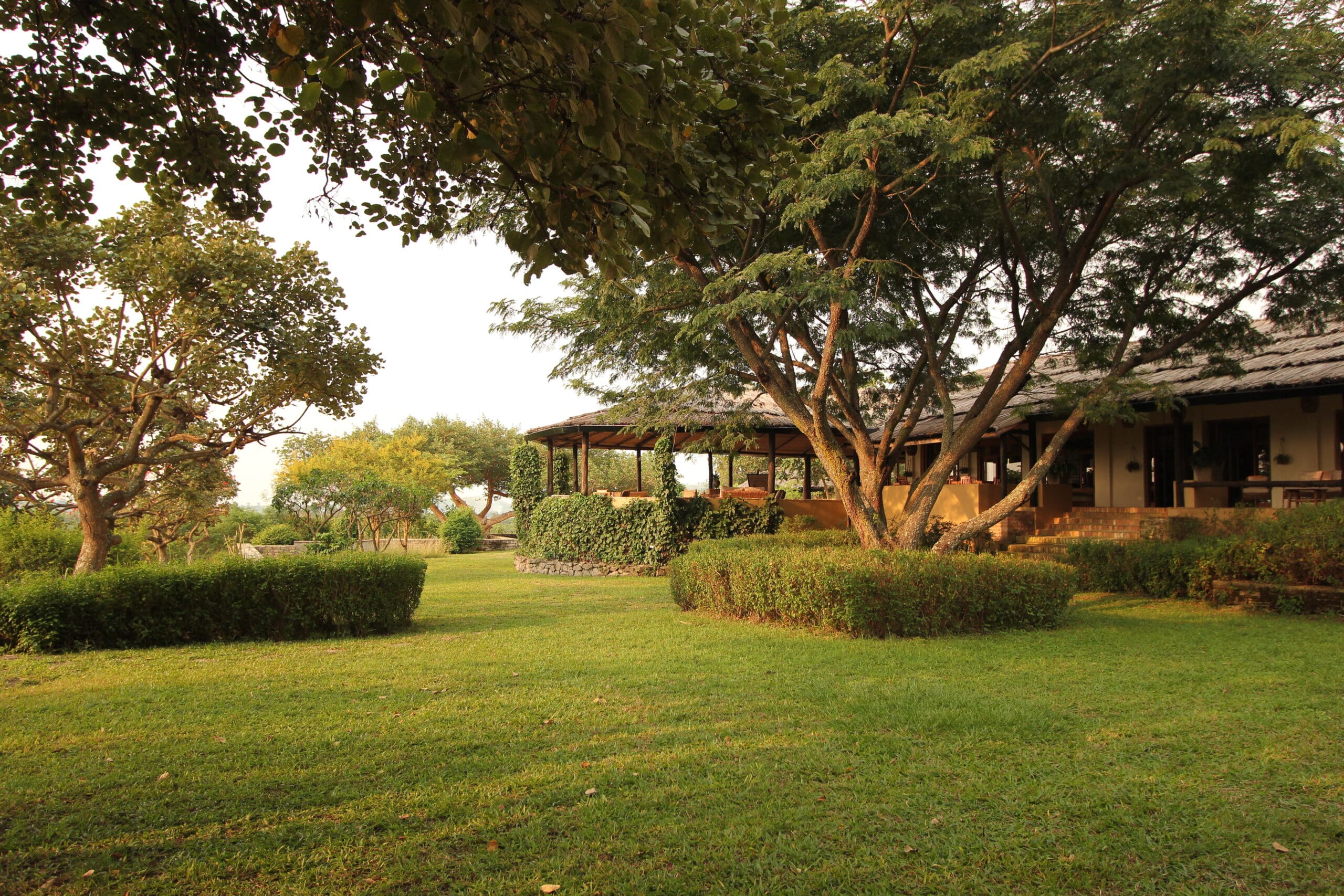 5 Places To Vacation Post-COVID For Amazing Biodiversity