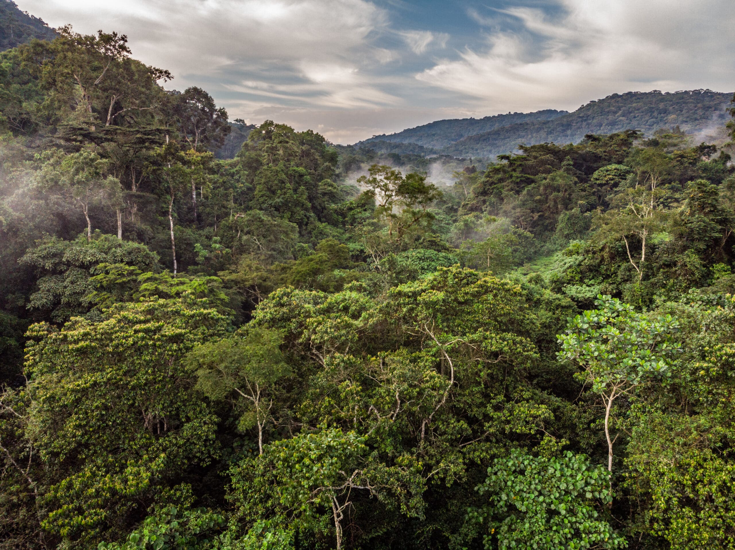 Bwindi Folklore: How Bwindi Got its Name
