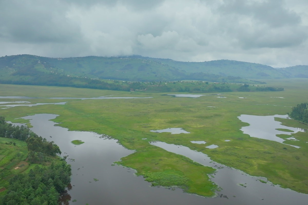 Rugezi Marsh