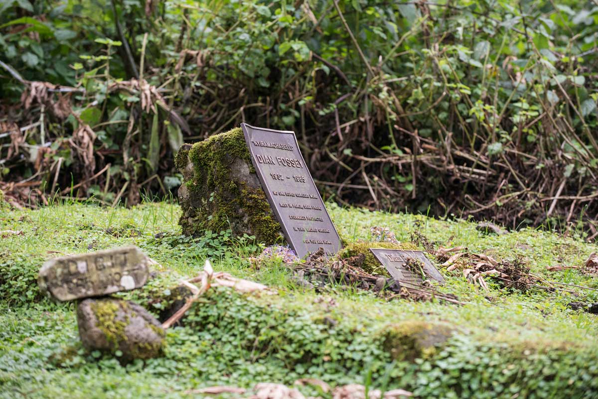 Visit Dian Fossey’s Grave