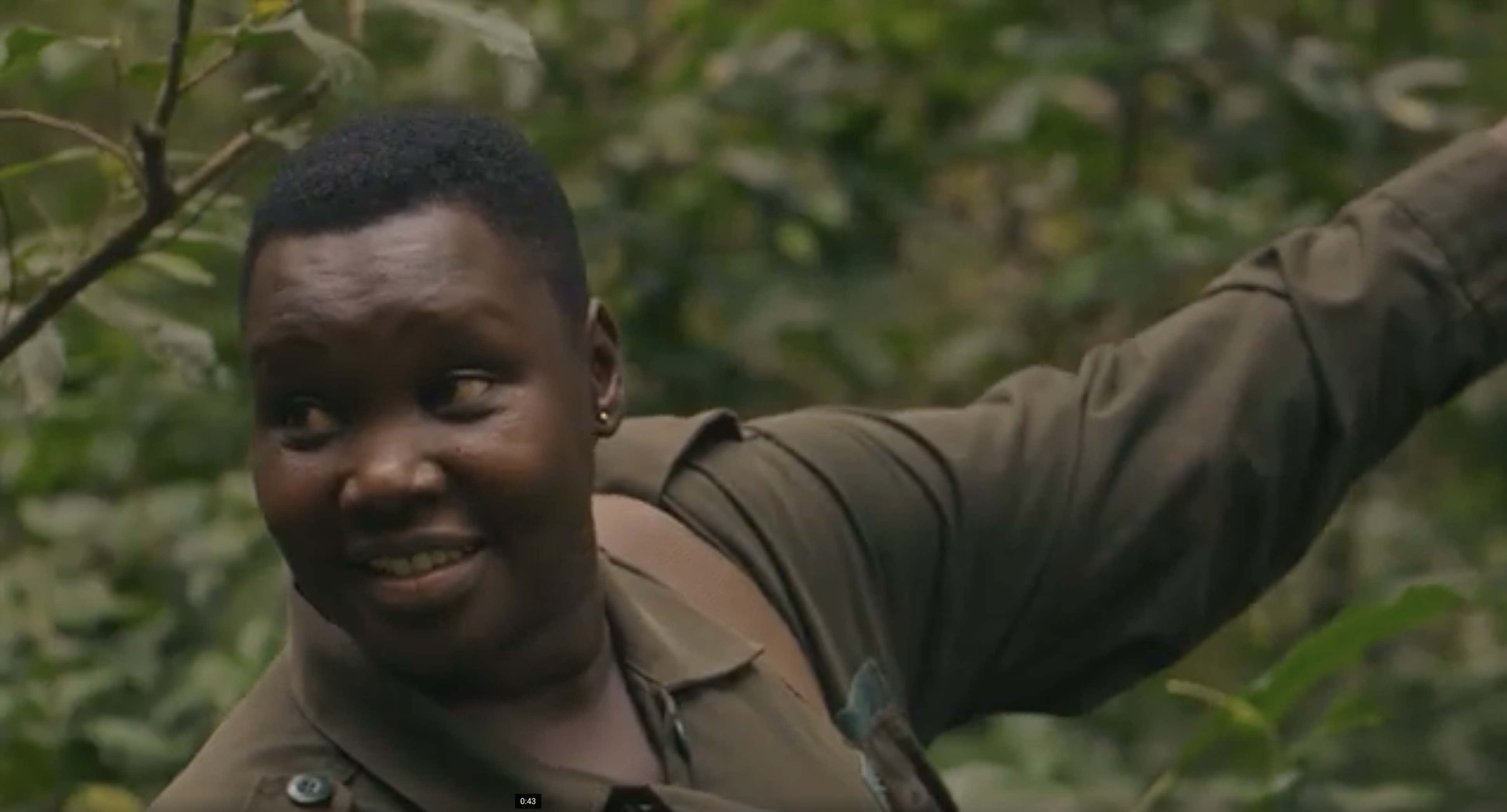 Volcanoes Safaris 25 Year Anniversary Film Teaser