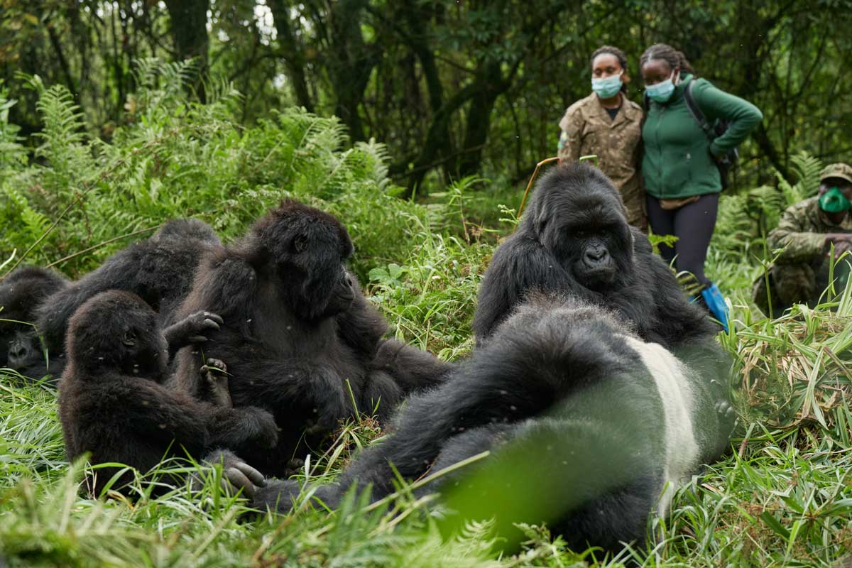 10-night Primates of the Great Rift Valley Safari