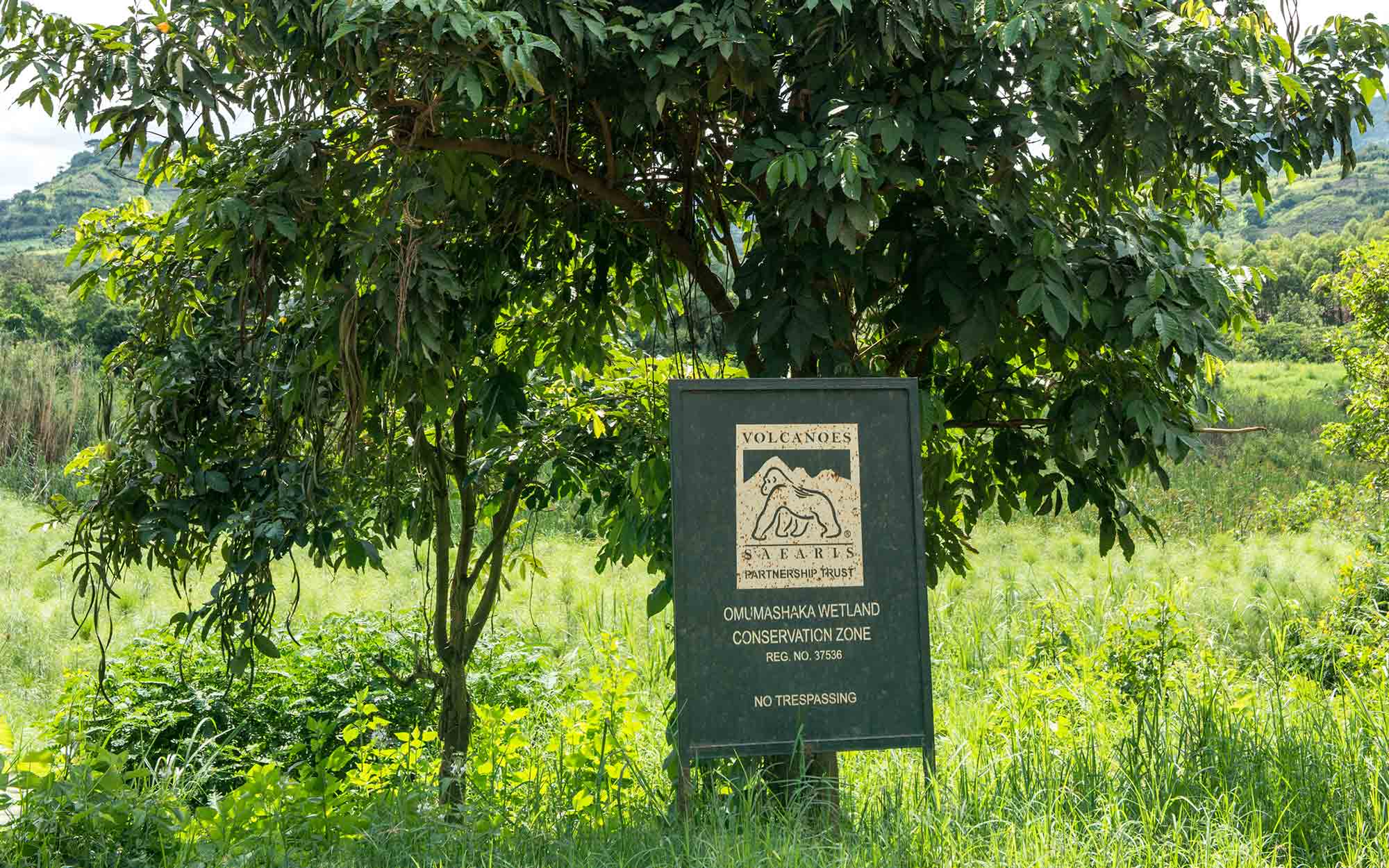 The Conservation Paradox