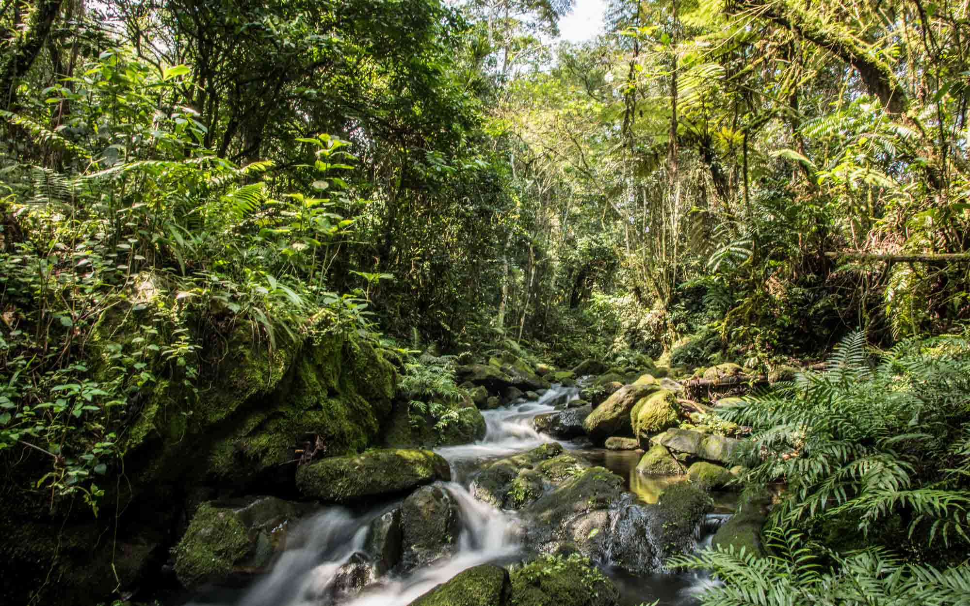 Waterfall Walk
