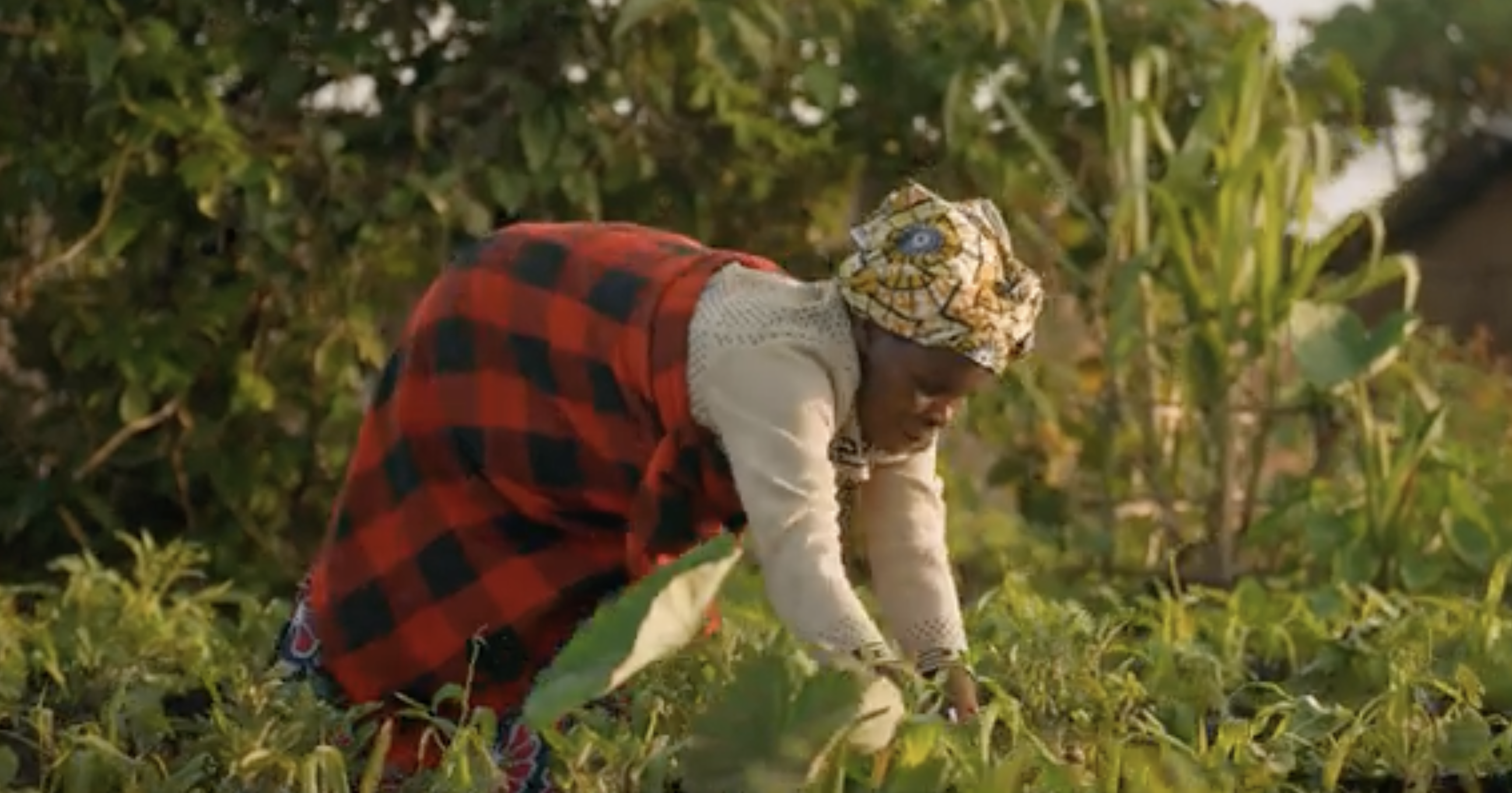The ancient culture and traditions of the Gahinga Batwa community