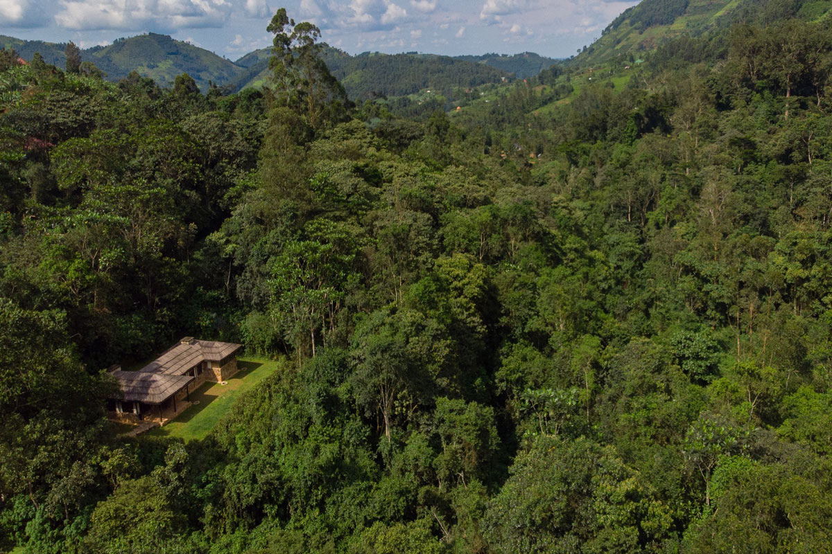 Volcanoes Safaris and Bwindi Lodge in The Times