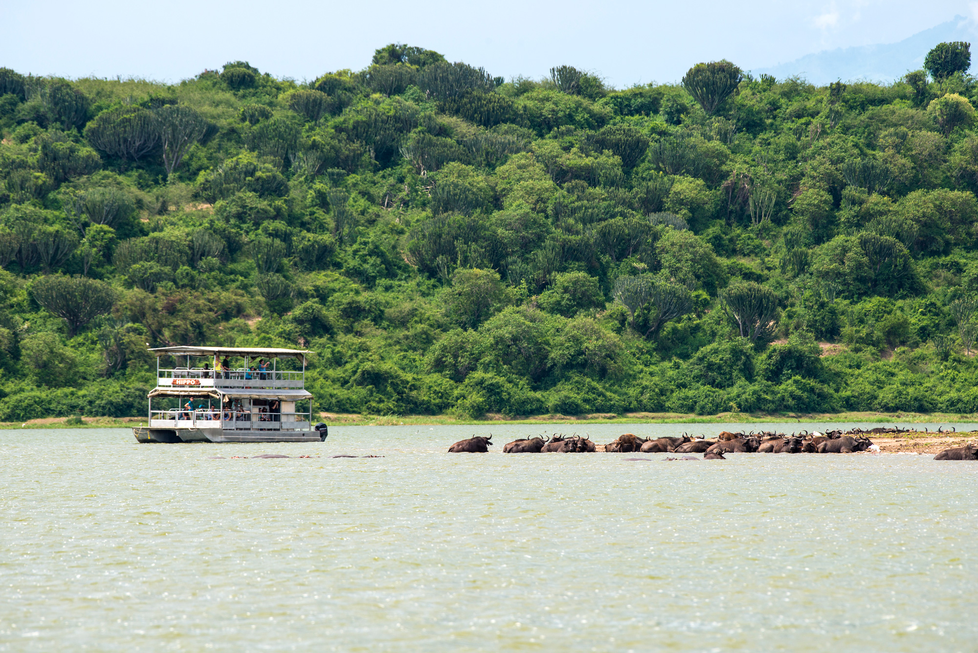 Volcanoes Safaris and Kyambura Gorge Lodge in Forbes