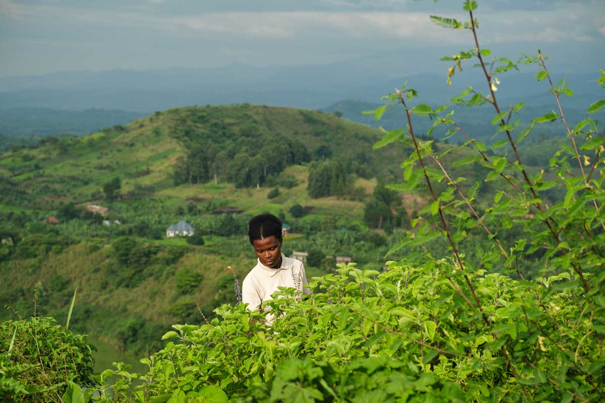 Celine the Botanist - Volcanoes Safaris