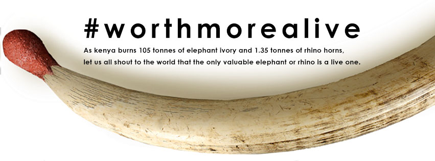 worthmorealive elephant ivory burning Kenya