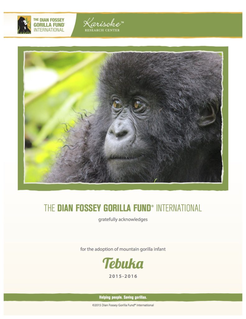 Tebuka's adoption certificate