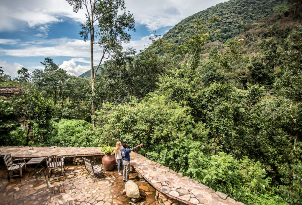 The Bwindi Lodge terrace provides the perfect forest view